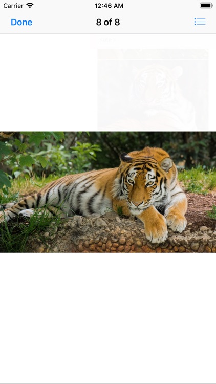 Real Tiger Stickers screenshot-8