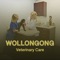 Wollongong Veterinary Cares App is free to use and provides the Veterinary Cares list and details of Wollongong City of Australia