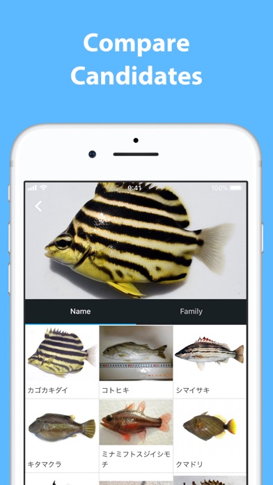 How to cancel & delete Mikke - A Fish Identifier from iphone & ipad 2