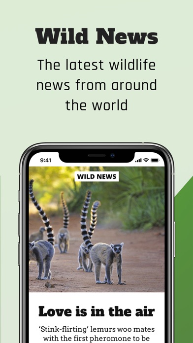 BBC Wildlife Magazine screenshot1