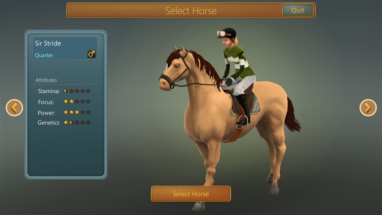 Race Horses Champions 3 screenshot-4