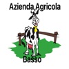 Azienda Agricola Basso