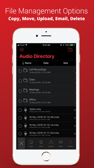 Recorder Plus : Voice Recorder screenshot 3