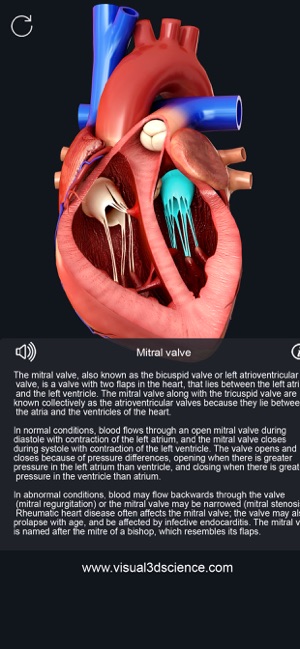 AR Heart Anatomy(圖4)-速報App