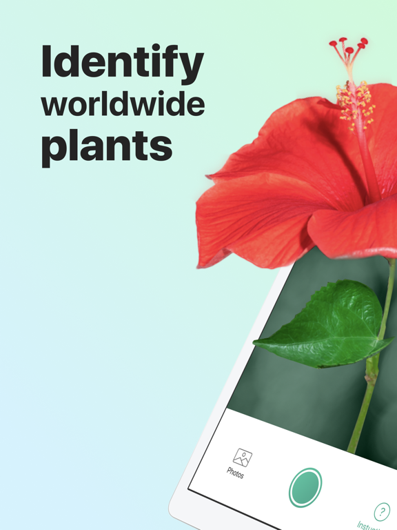 PictureThis - Plant Identifier screenshot