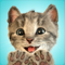 App Icon for Little Kitten -My Favorite Cat App in Malaysia IOS App Store