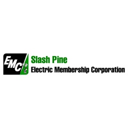 Slash Pine