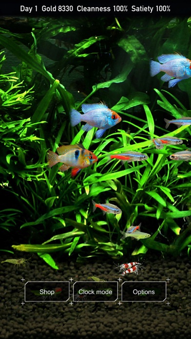 Tropical Fish Tank - Mini Aqua free Resources hack