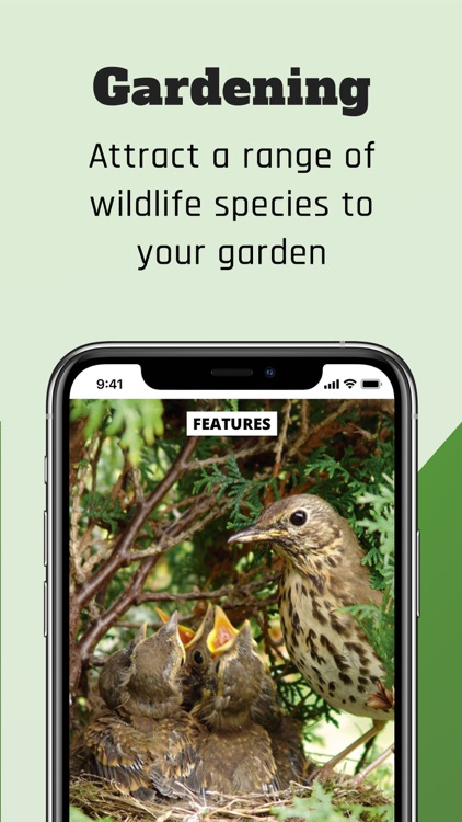 BBC Wildlife Magazine