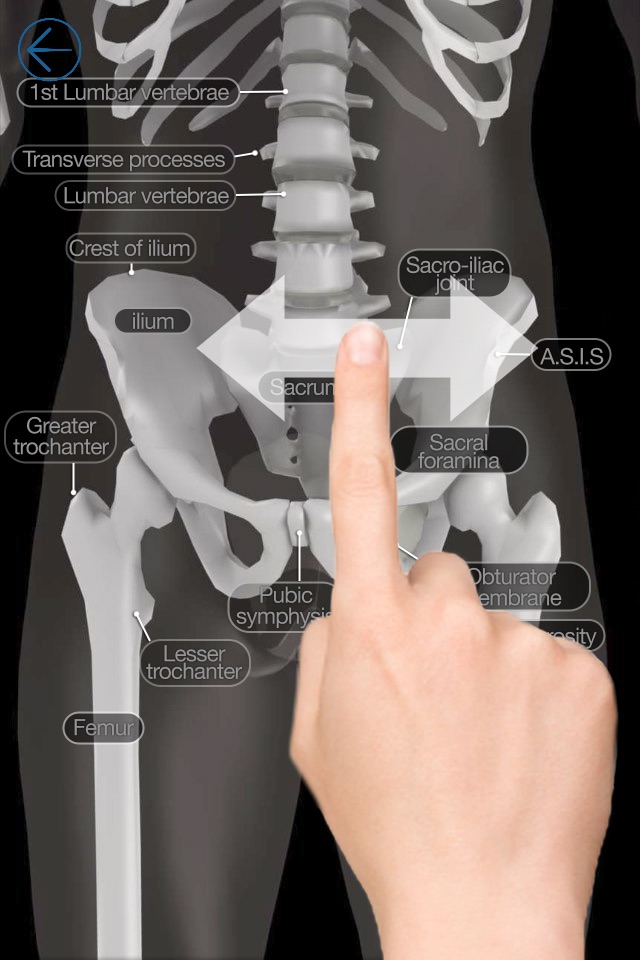 Skeletal Anatomy 3D screenshot 3