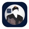 Get Ertugrul Style استايل ارطغرل for iOS, iPhone, iPad Aso Report