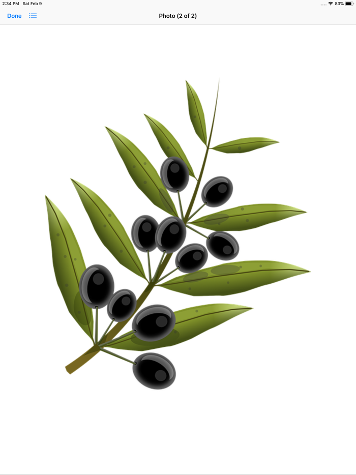 Olive Branch Stickers