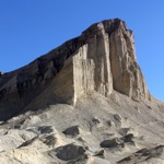 Death Valley Wildflower Search