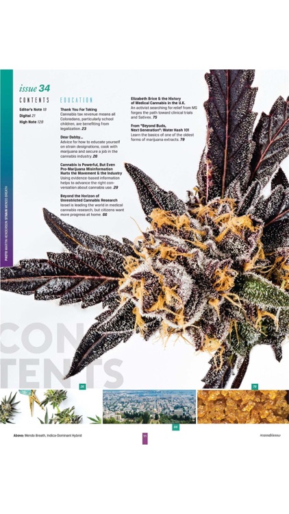 Cannabis Now