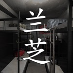 孙美琪疑案兰芝