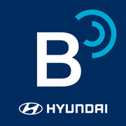 BlueLink Canada