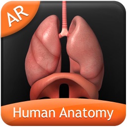 Human Anatomy for iPhone