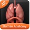 The Human Anatomy app is a quick reference app that contains the information about the ten different biological systems present in the human body in a visual and engaging manner