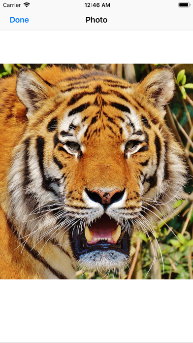 Real Tiger Stickers screenshot 2