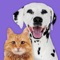 UPLOAD & SHARE YOUR CUTEST PET PICS