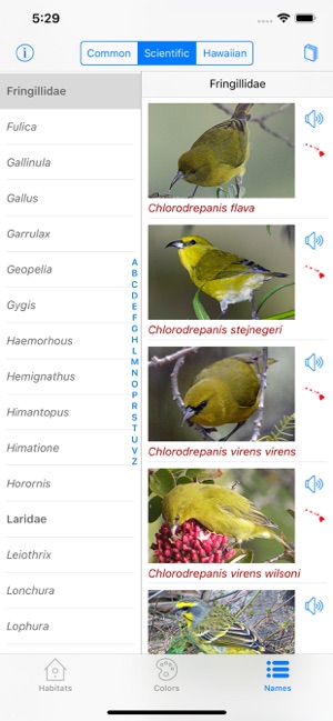 Bird ID Hawaii for iPhone(圖9)-速報App