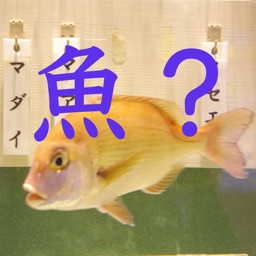漢字がいい水族館