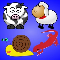 Read My Brain PC 용