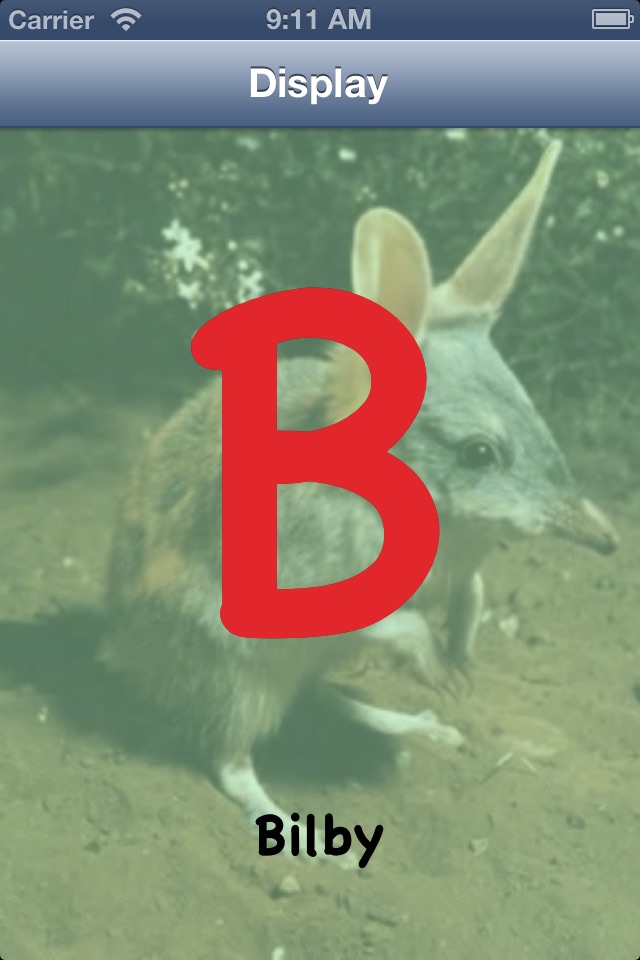 Australian Animal Alphabet screenshot 3