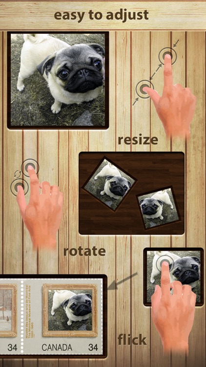 Frame it In Another Photo PIP screenshot-5