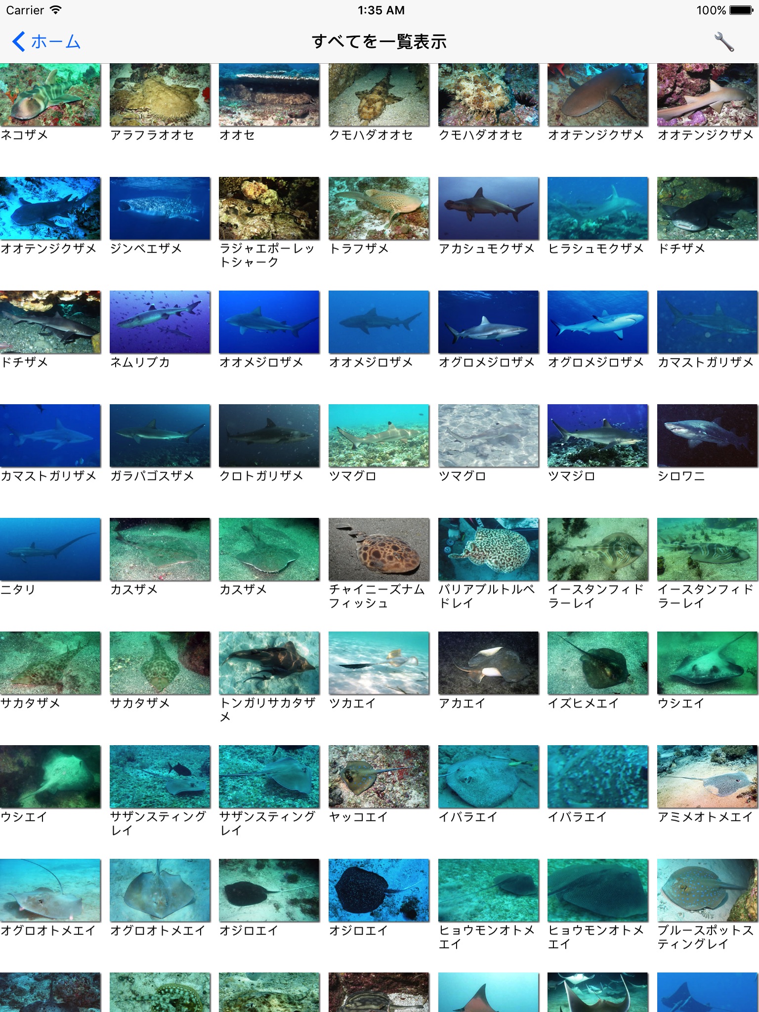南国魚ガイド(1700種類の魚図鑑) screenshot 2