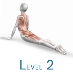 Level 2 Personal Trainer
