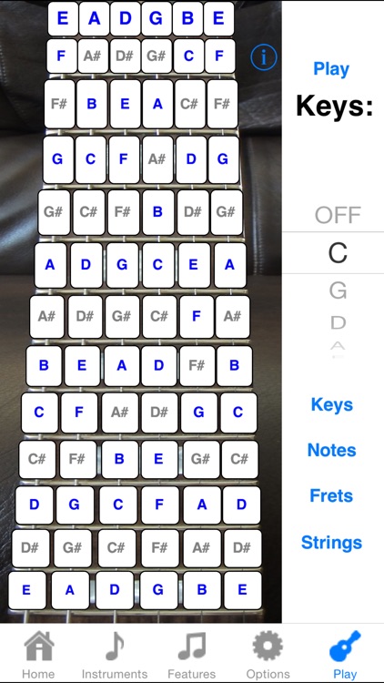 Electric Guitar Fret Addict screenshot-3