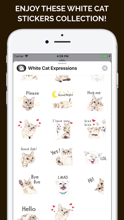 White Cat Expressions