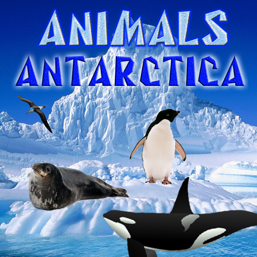 Animals of Antarctica icon