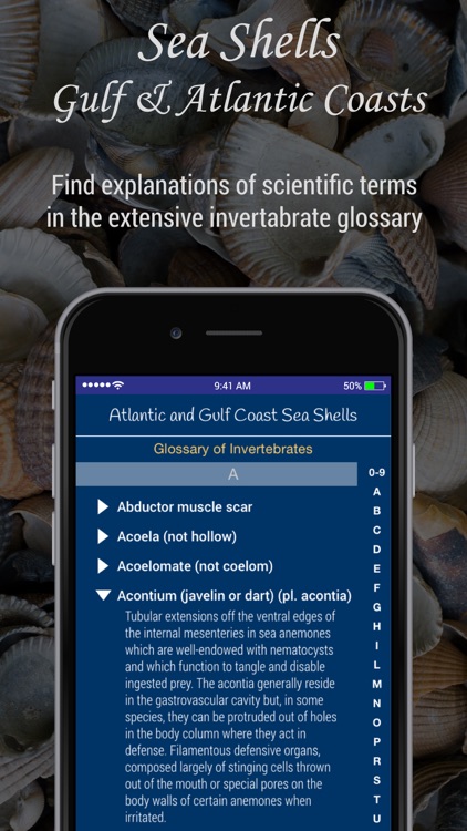 Gulf and Atlantic Sea Shells screenshot-4