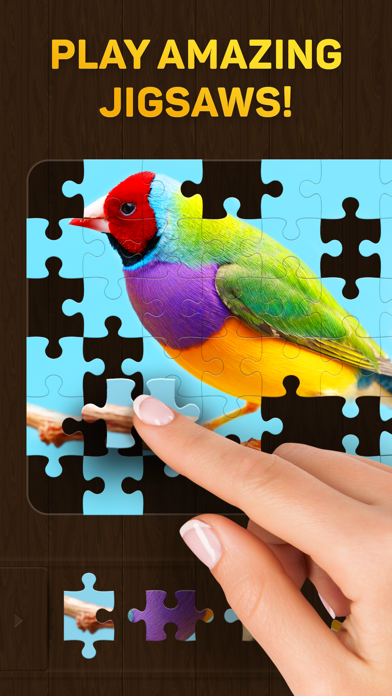 Jigsaw Puzzles - Beautiful HD Puzzle Games Screenshot 1