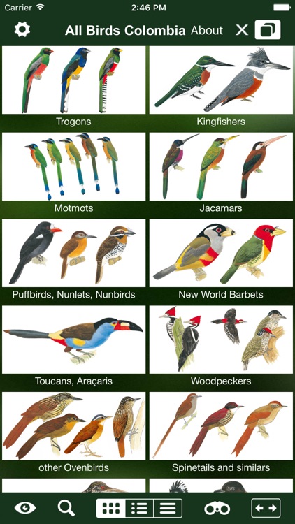 All Birds Ecuador field guide