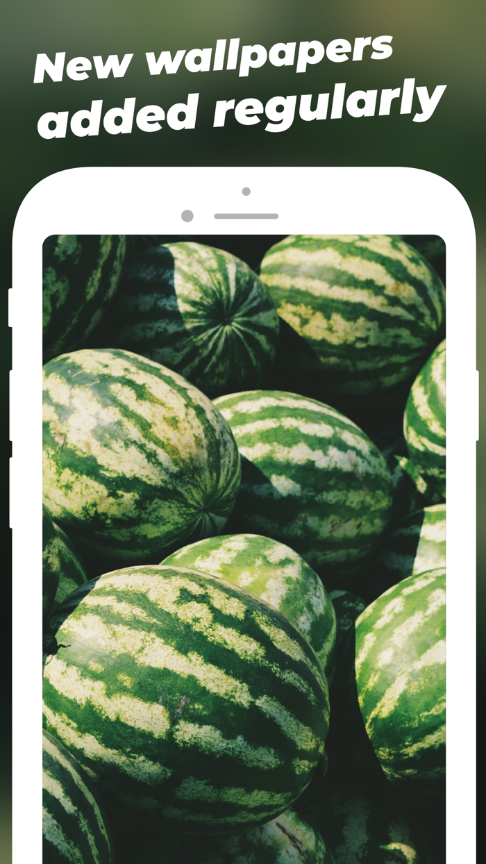 Feast  Food Wallpapers HD, 4k