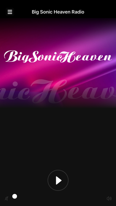 Big Sonic Heaven Radio screenshot 2