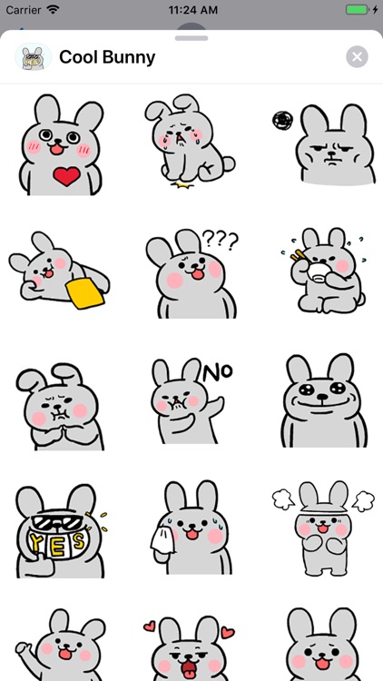 Cool Bunny Animated