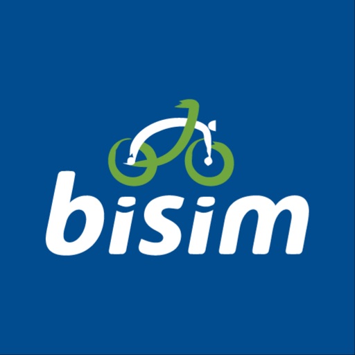 Bisim