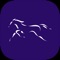 Download Purple Reins app to maximise your experience as an owner or as a general horseracing fan