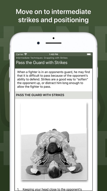 Hand-to-Hand Combat screenshot-3