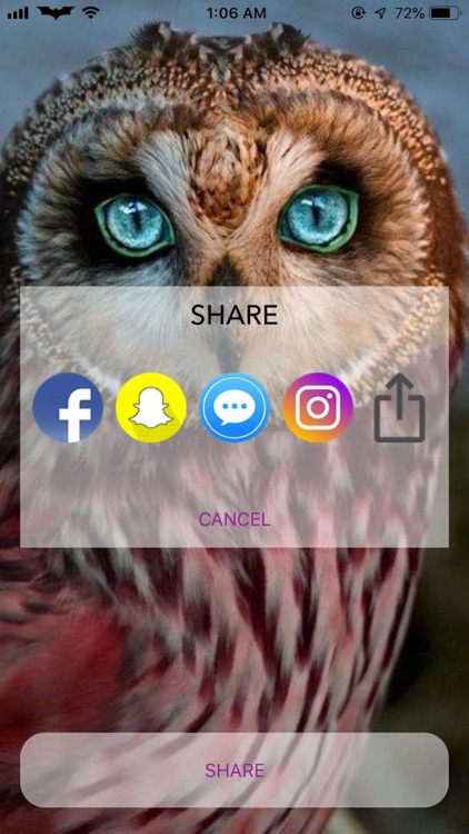 Birds-A Gift App