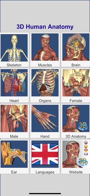 3D Anatomy Learning(圖2)-速報App