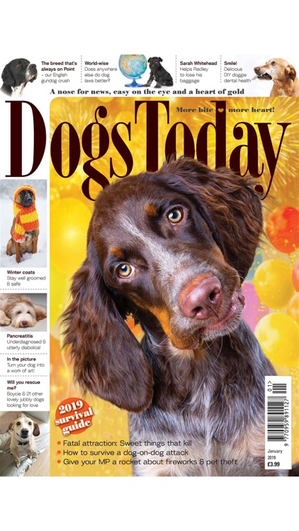 Dogs Today Magazine
