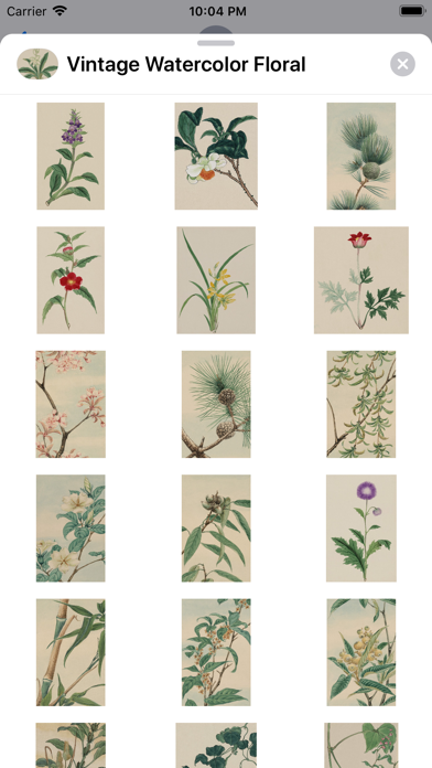 Floral Vintage Watercolors screenshot 3