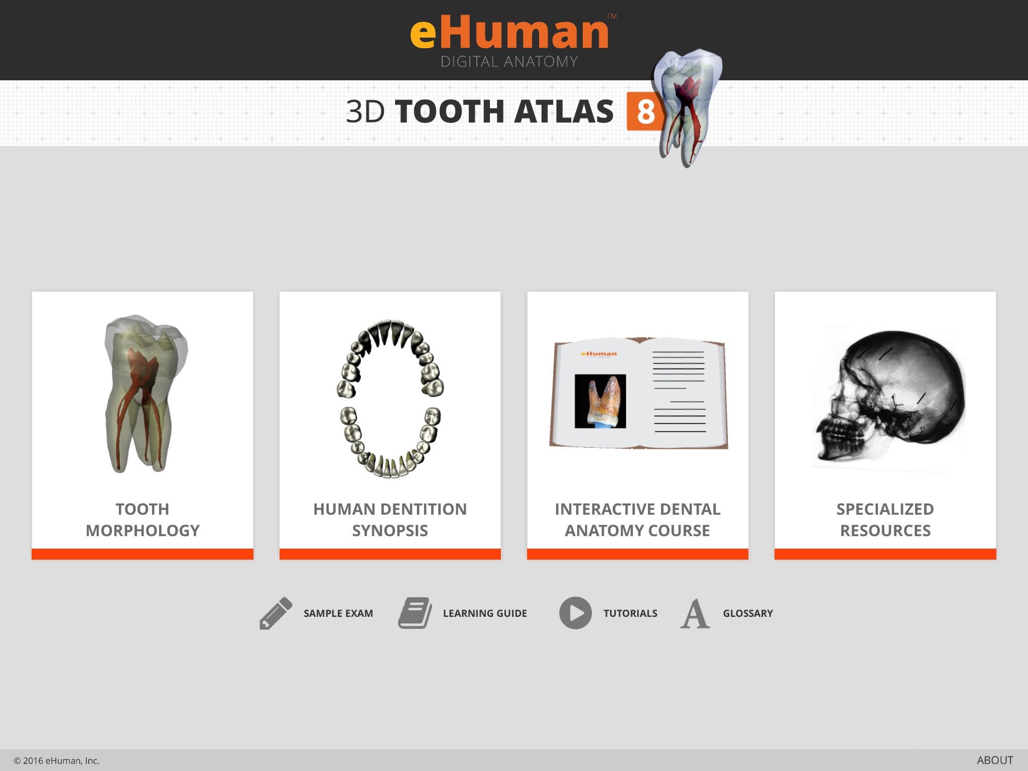 Tooth Atlas 8 screenshot 2