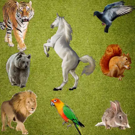 Real Animals Emoji Stickers Cheats