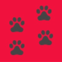 Dog Breed Camera sur PC